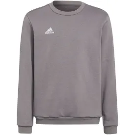 Adidas Entrada 22 Sweat Top Grey H57477 164Cm