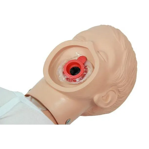 Ambu® Junior BLS Manikin