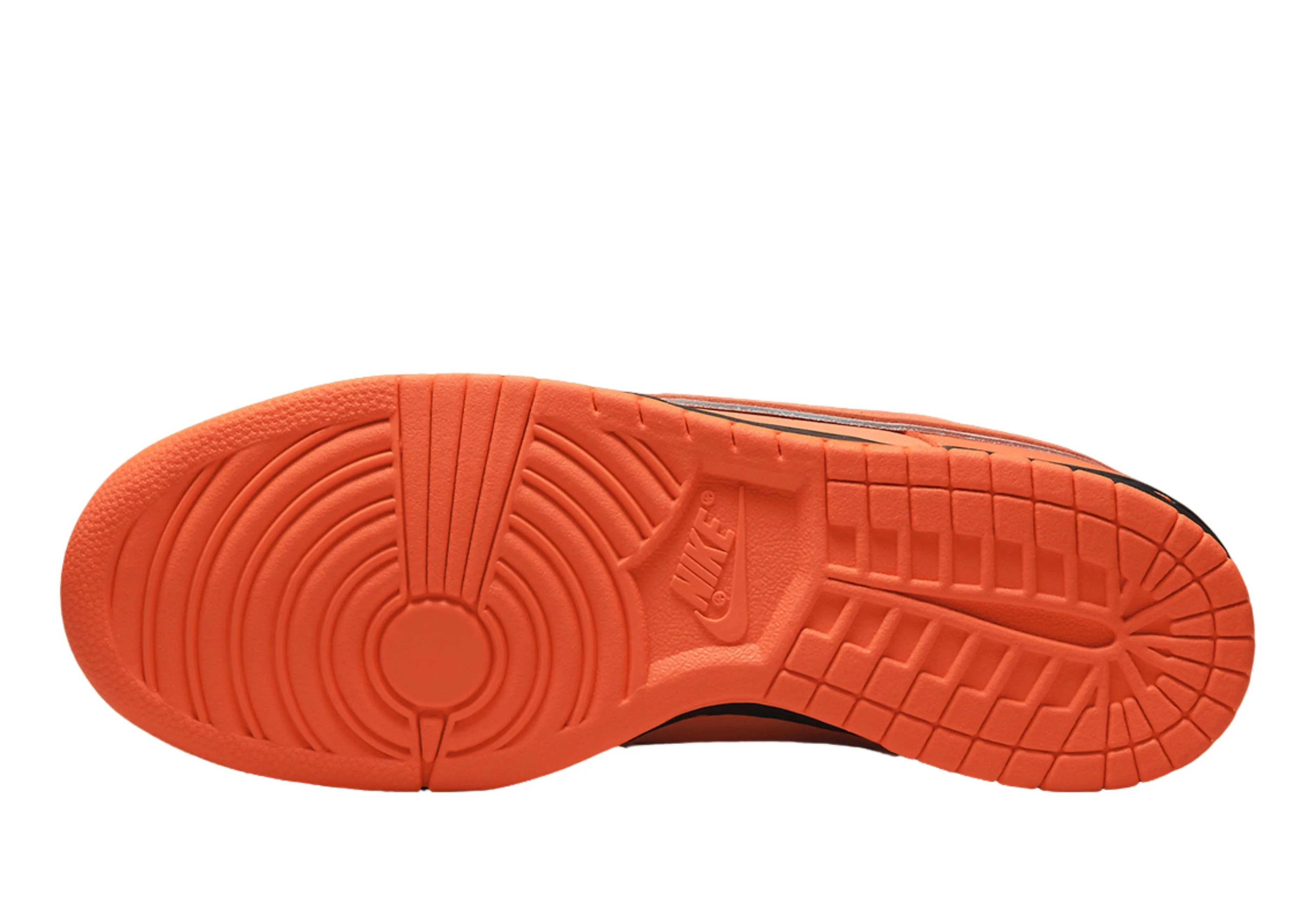 Concepts x Dunk Low SB 'Orange Lobster' Special Box