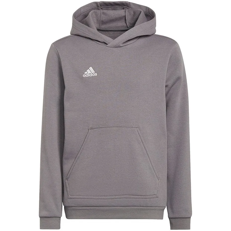 Sweatshirt For Kids Adidas Entrada 22 Hoody Gray H57515 116Cm